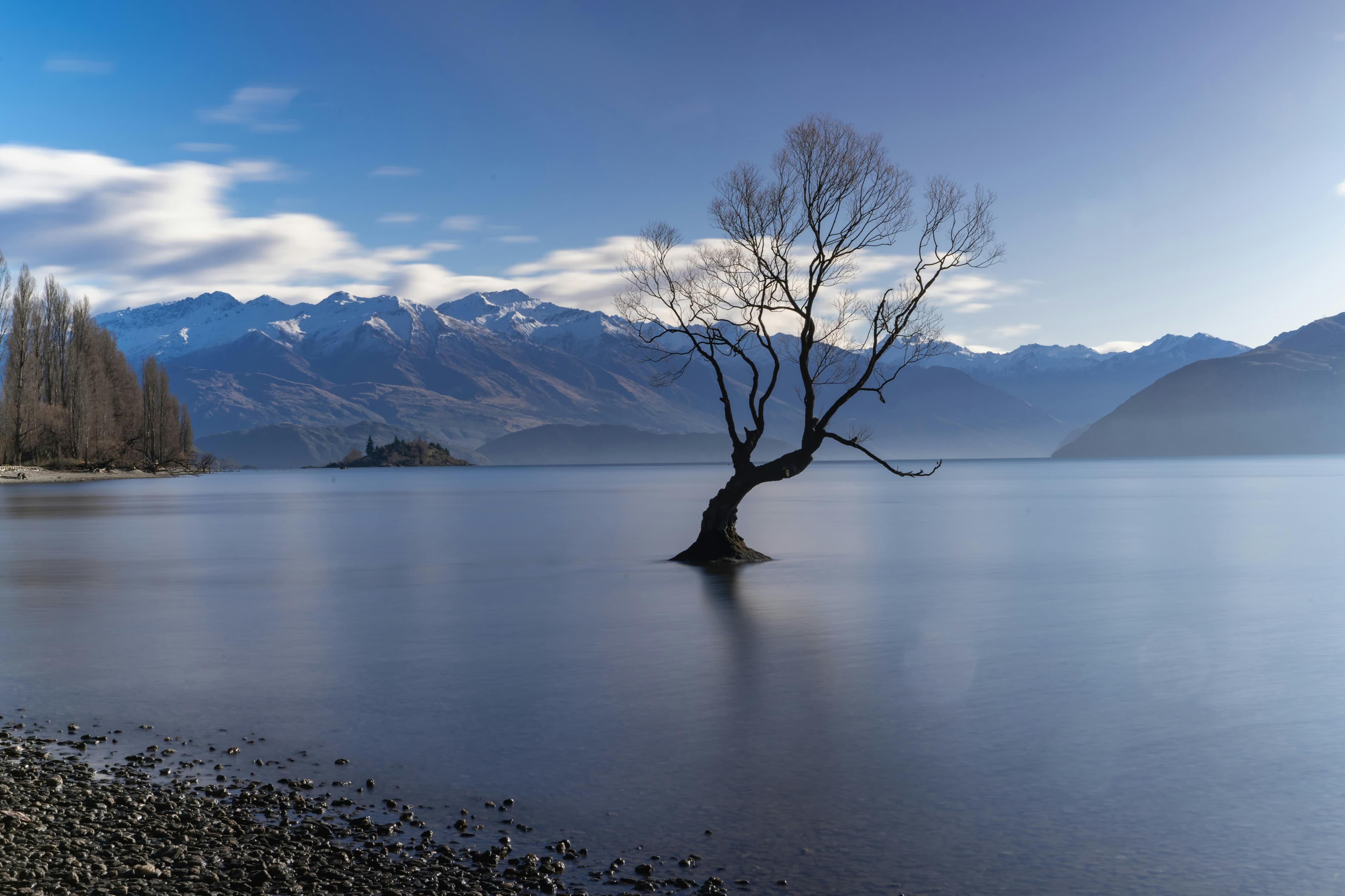 Lakeside Painting team of expert painters in Wanaka, New Zealand, ready to transform your home or business
