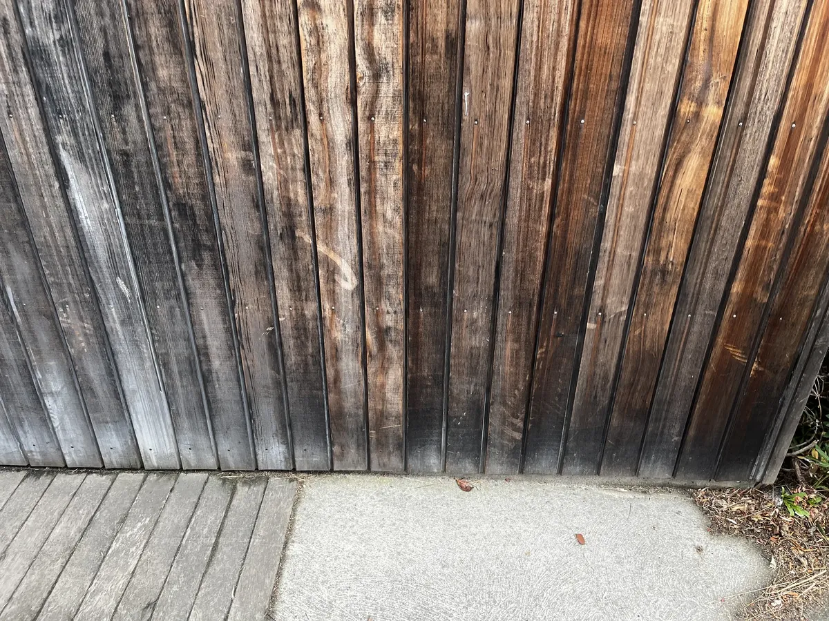 Cedar with black, mould-darkened surface and broken-down fibres